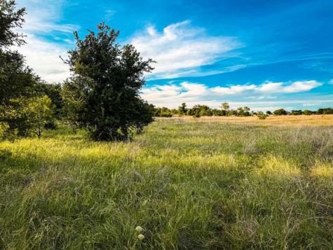 Tbd County Road 96 Purmela TX 76566