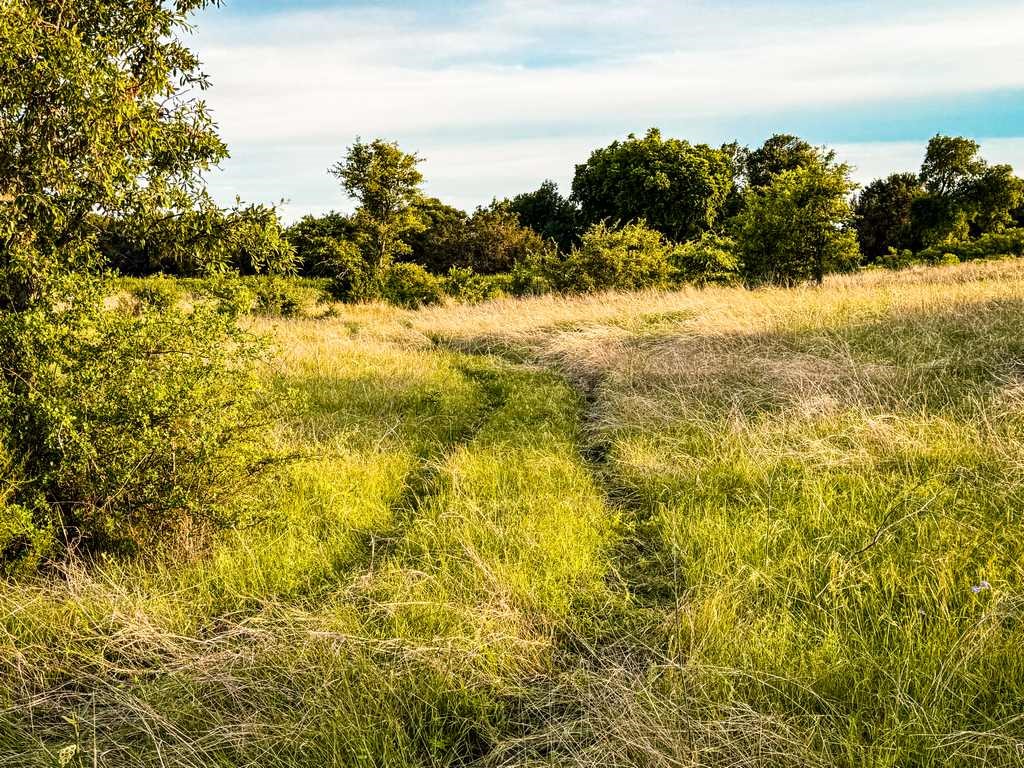 Tbd County Road 96 Purmela TX 76566