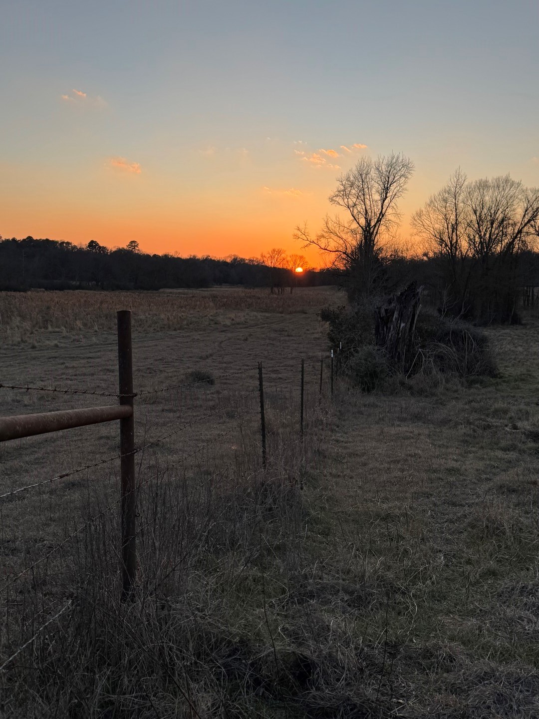 7240 E Highway 294 Elkhart TX 75839
