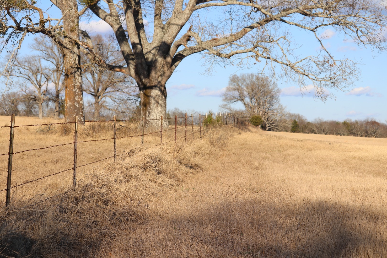 7240 E Highway 294 Elkhart TX 75839