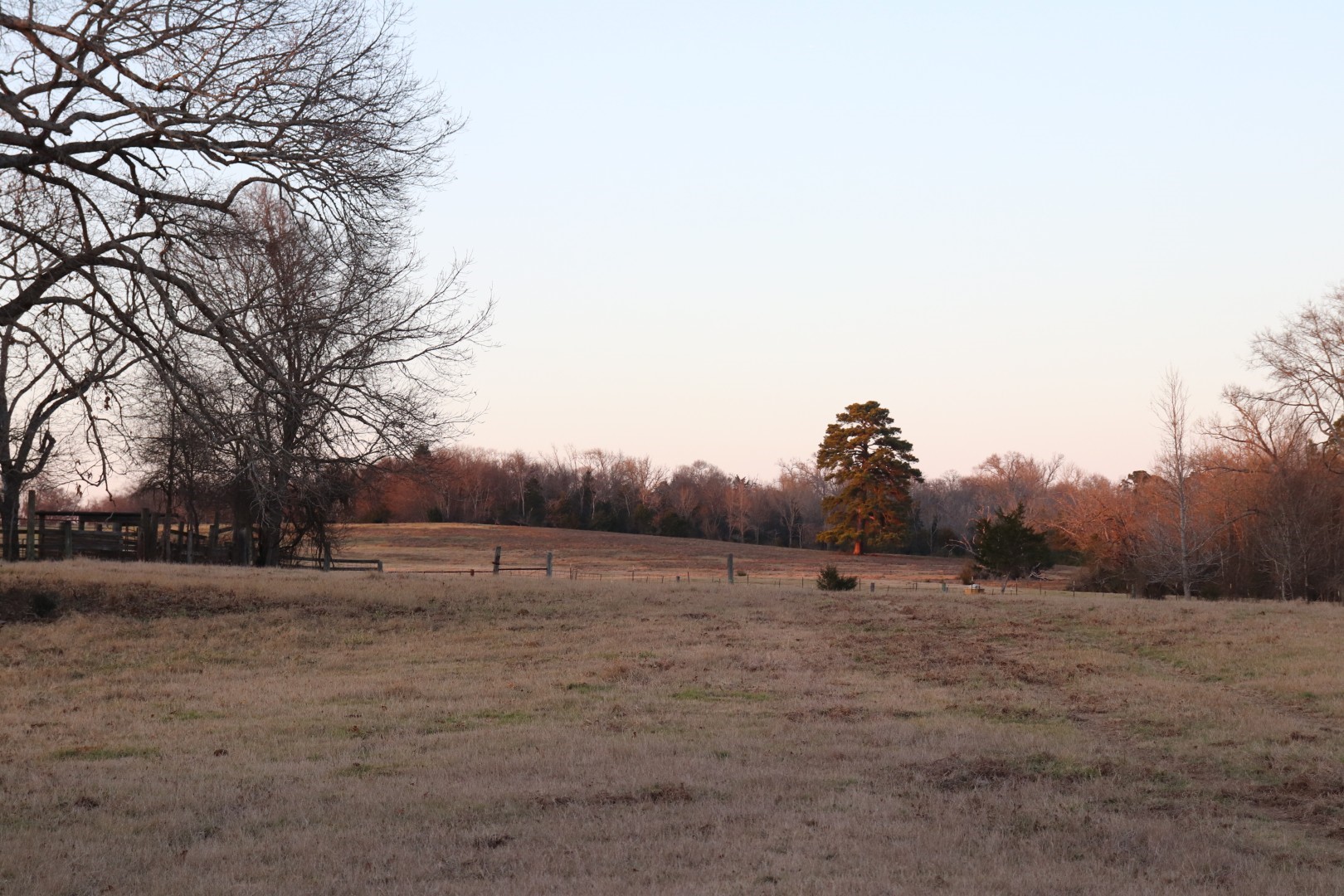 7240 E Highway 294 Elkhart TX 75839