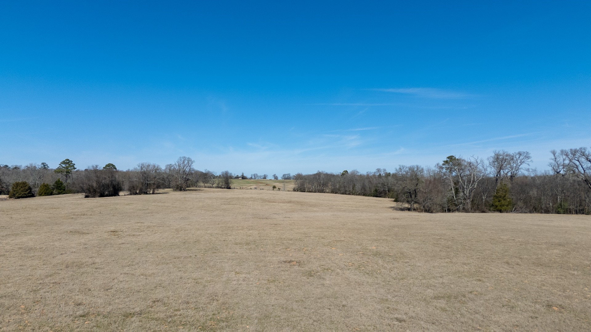 7240 E Highway 294 Elkhart TX 75839