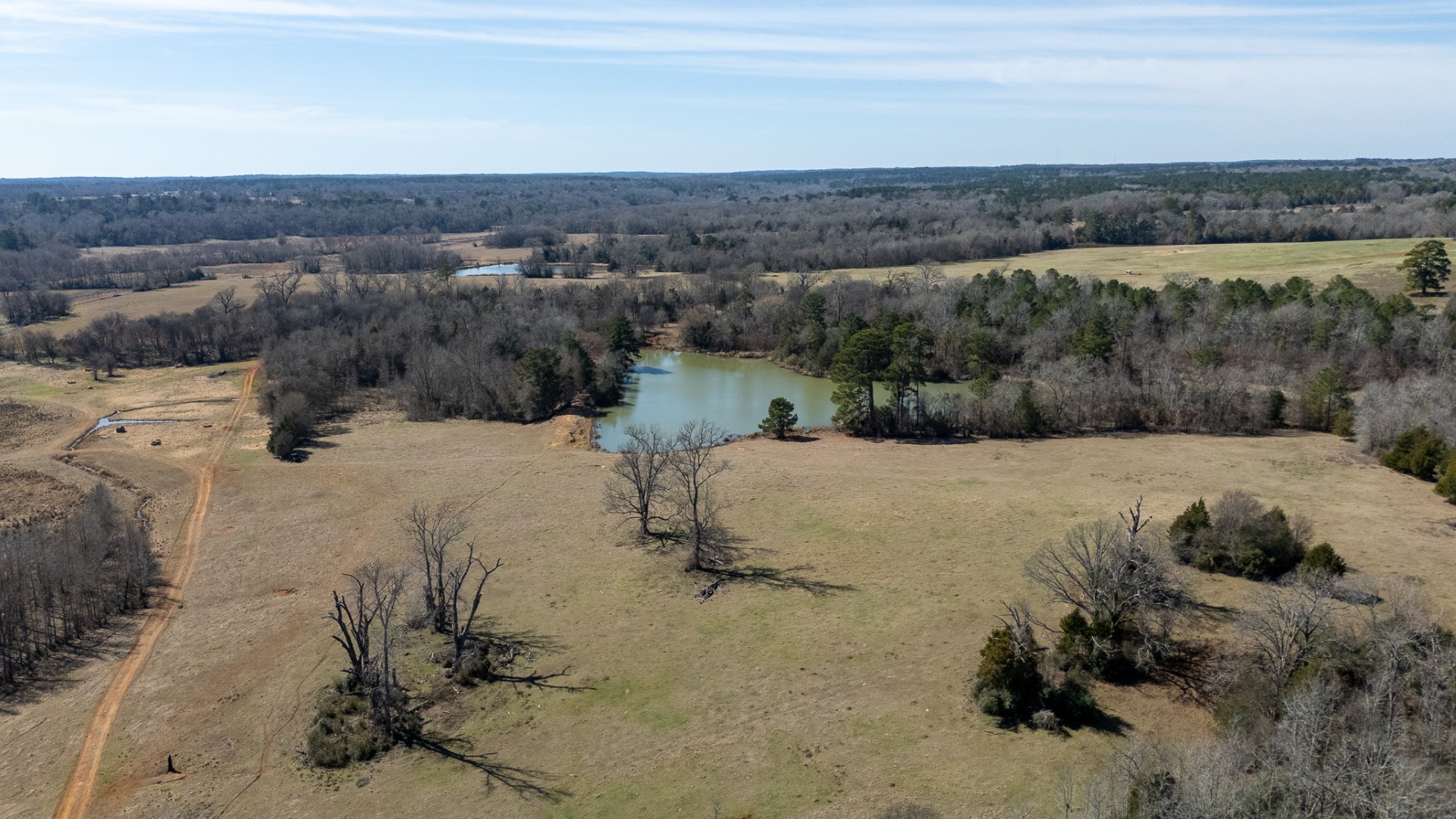 7240 E Highway 294 Elkhart TX 75839