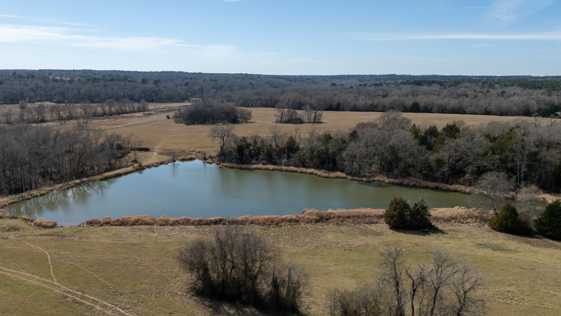 7240 E Highway 294 Elkhart TX 75839