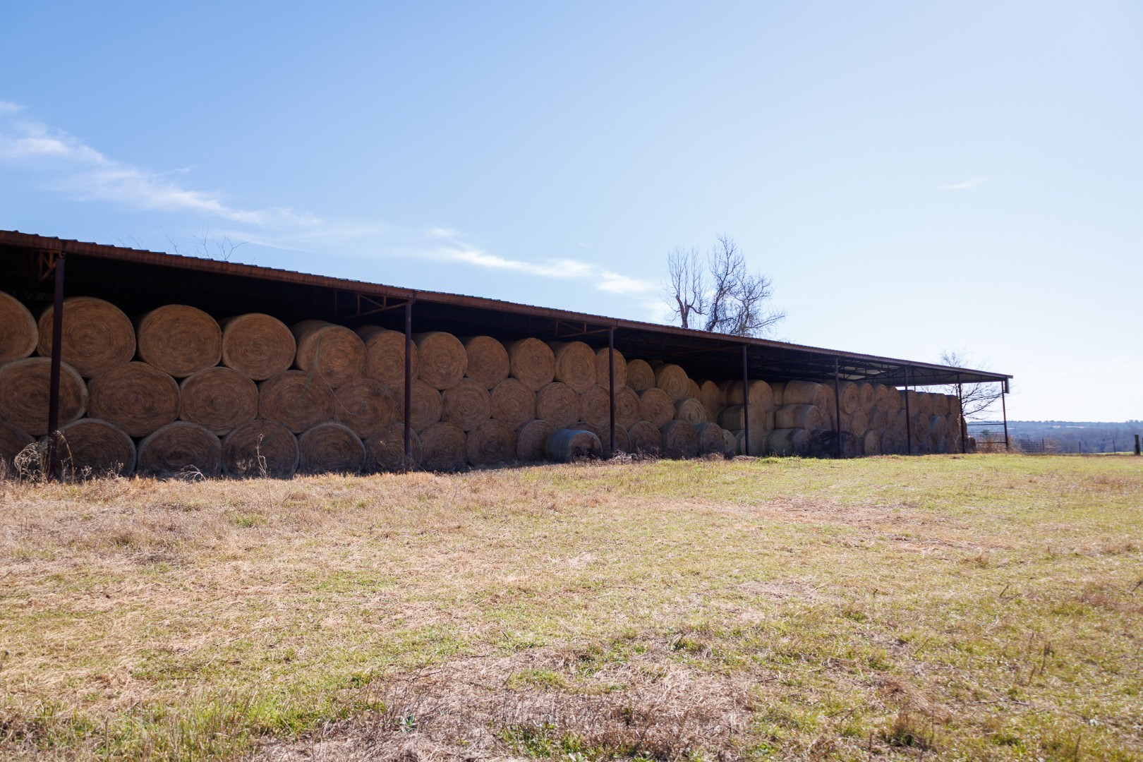 7240 E Highway 294 Elkhart TX 75839