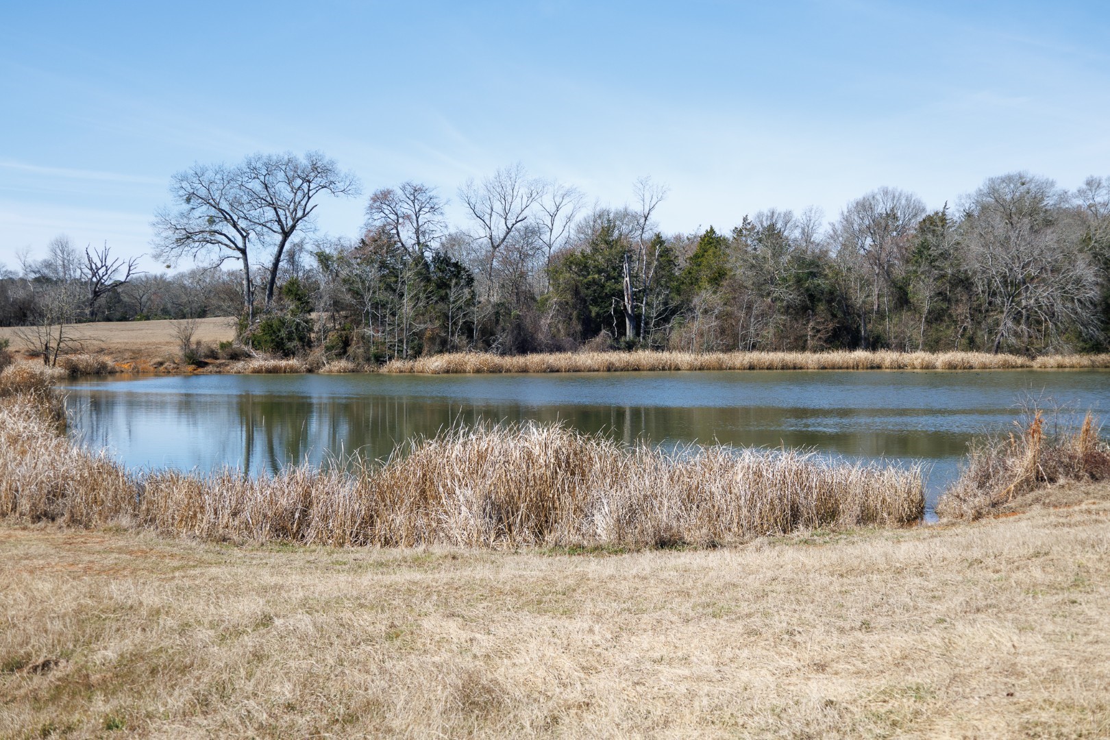 7240 E Highway 294 Elkhart TX 75839