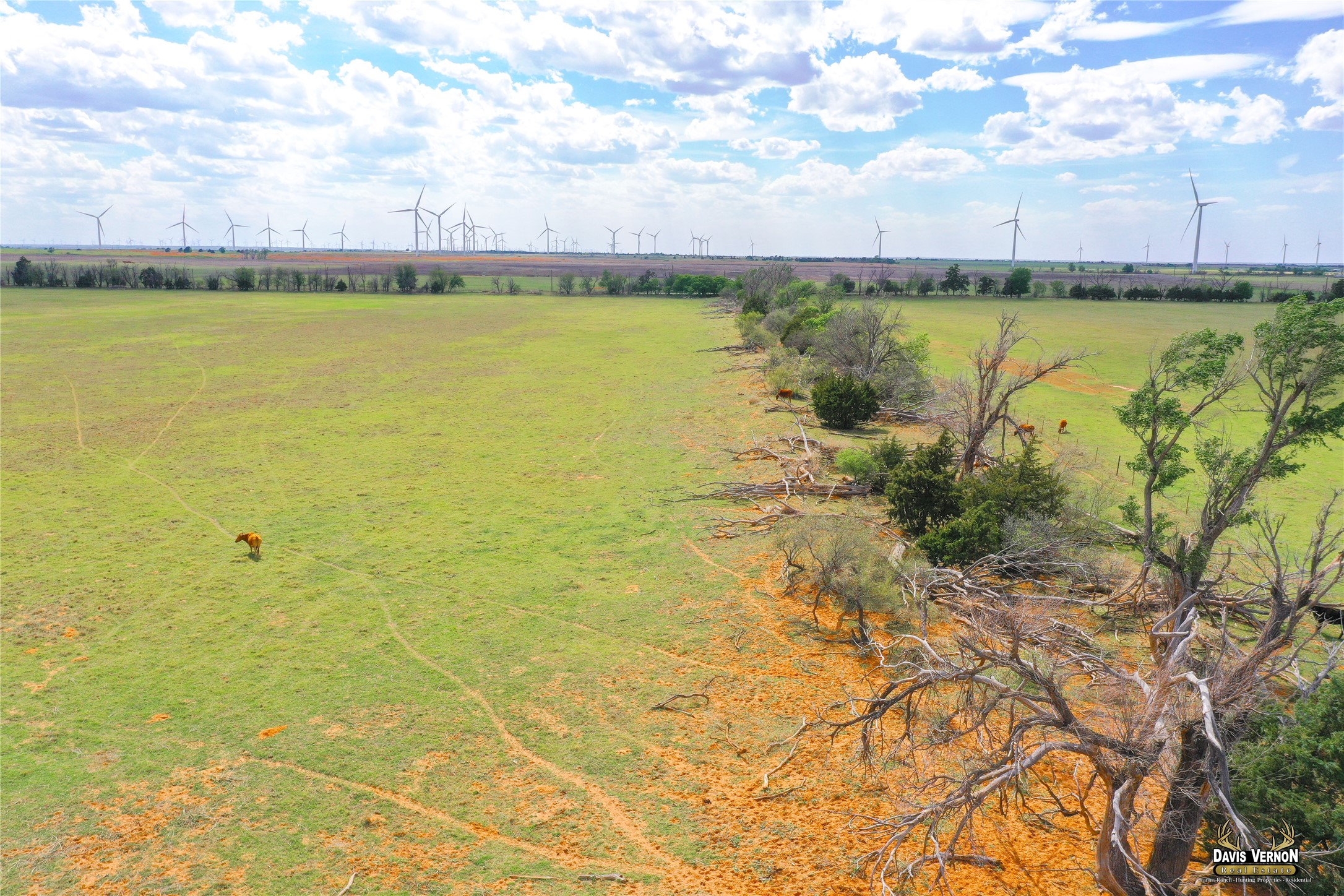 10405 County Road 106 W Vernon TX 76384