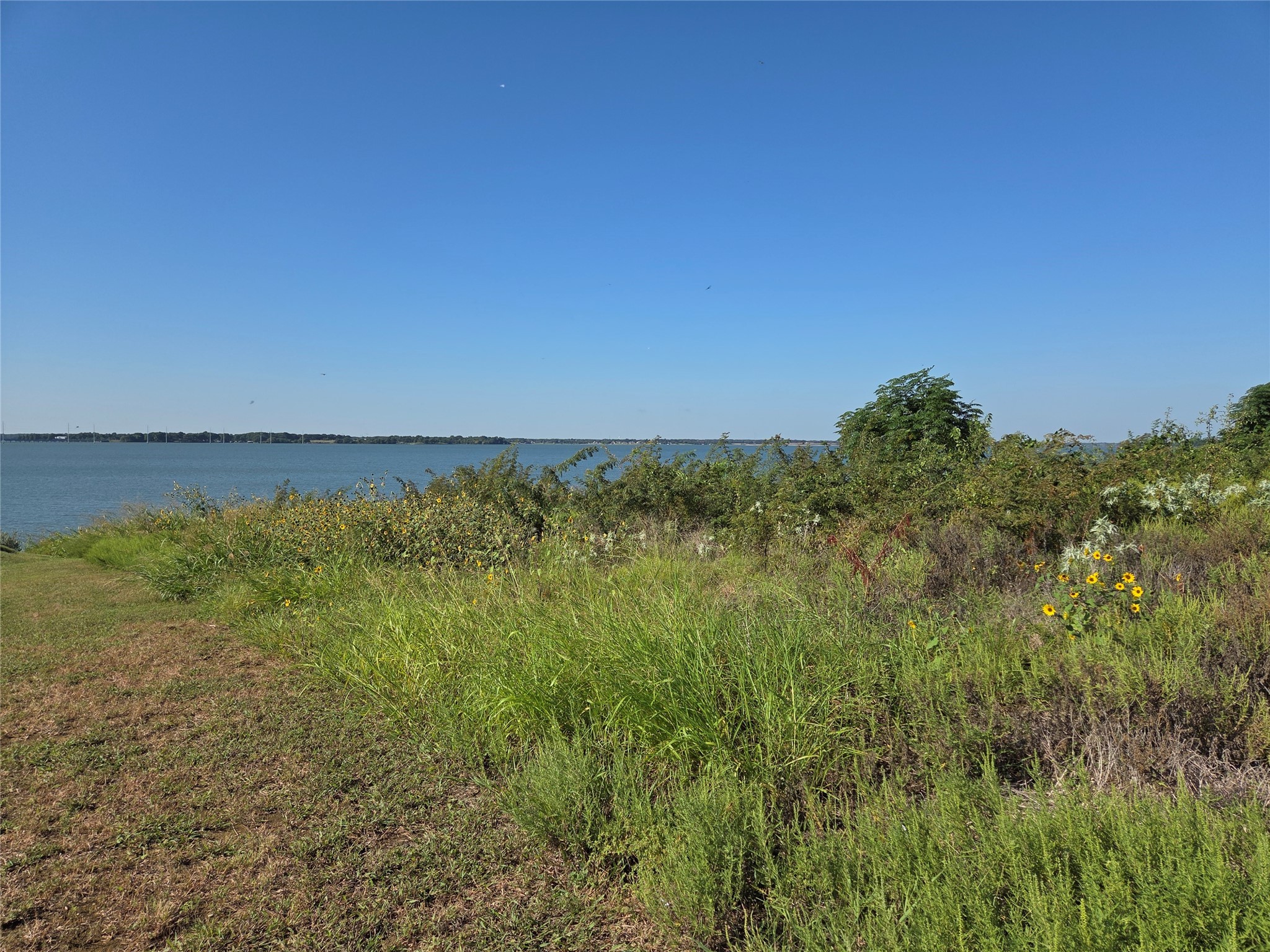 Lot 7 With Bs #15 Vista Pointe Drive Kerens TX 75109