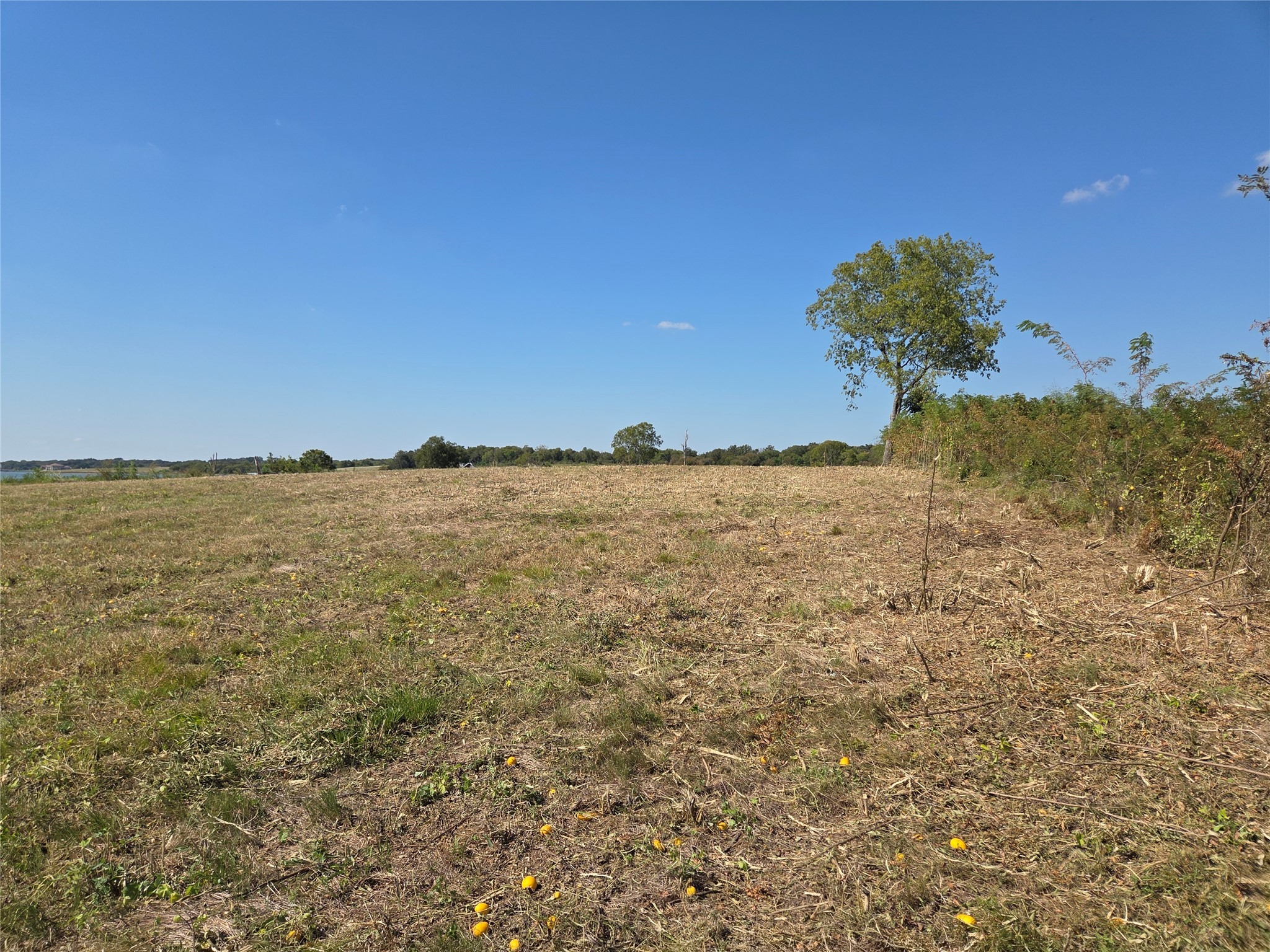 Lot 7 With Bs #15 Vista Pointe Drive Kerens TX 75109