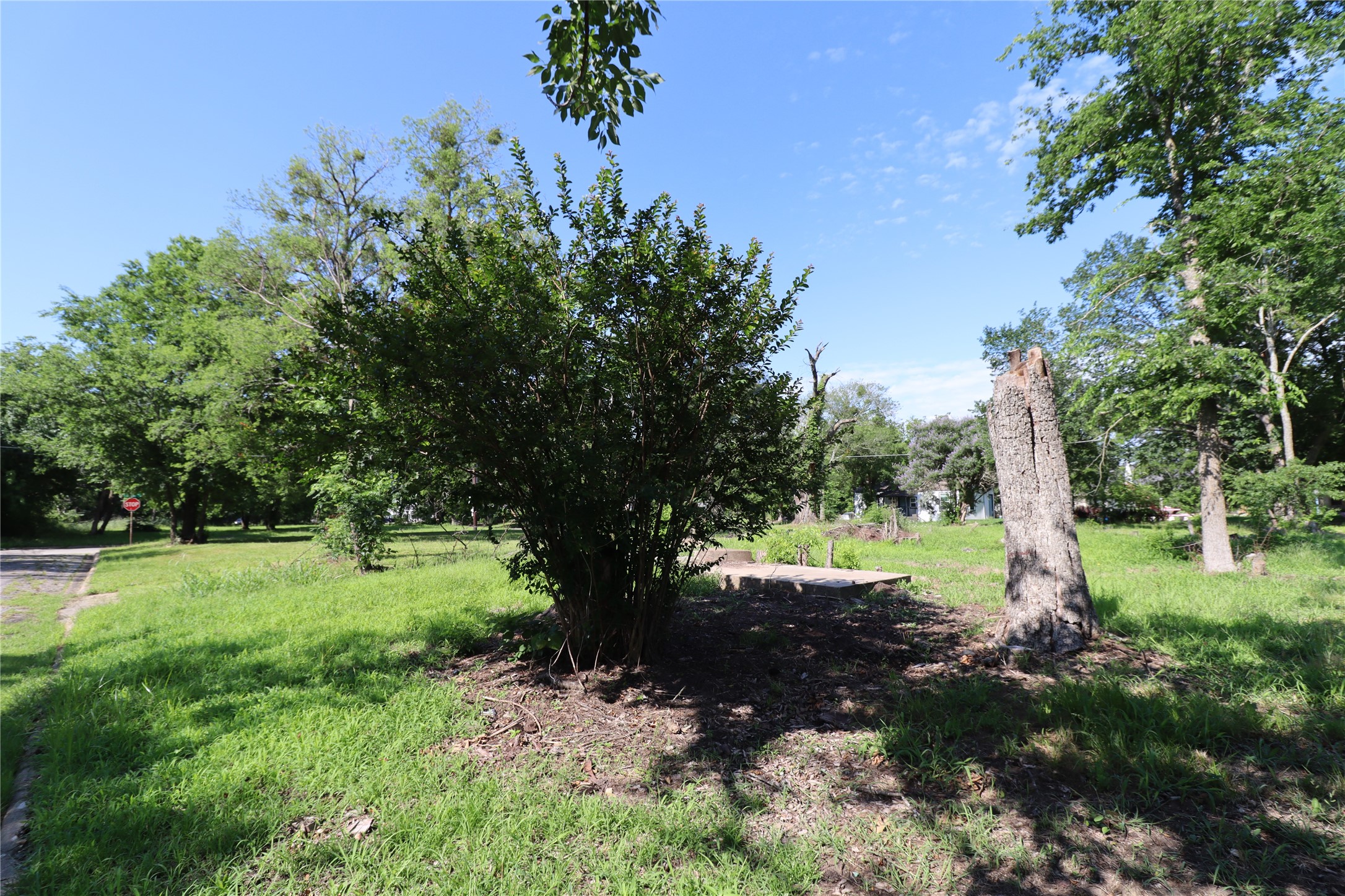 118 Norris Street Commerce TX 75428