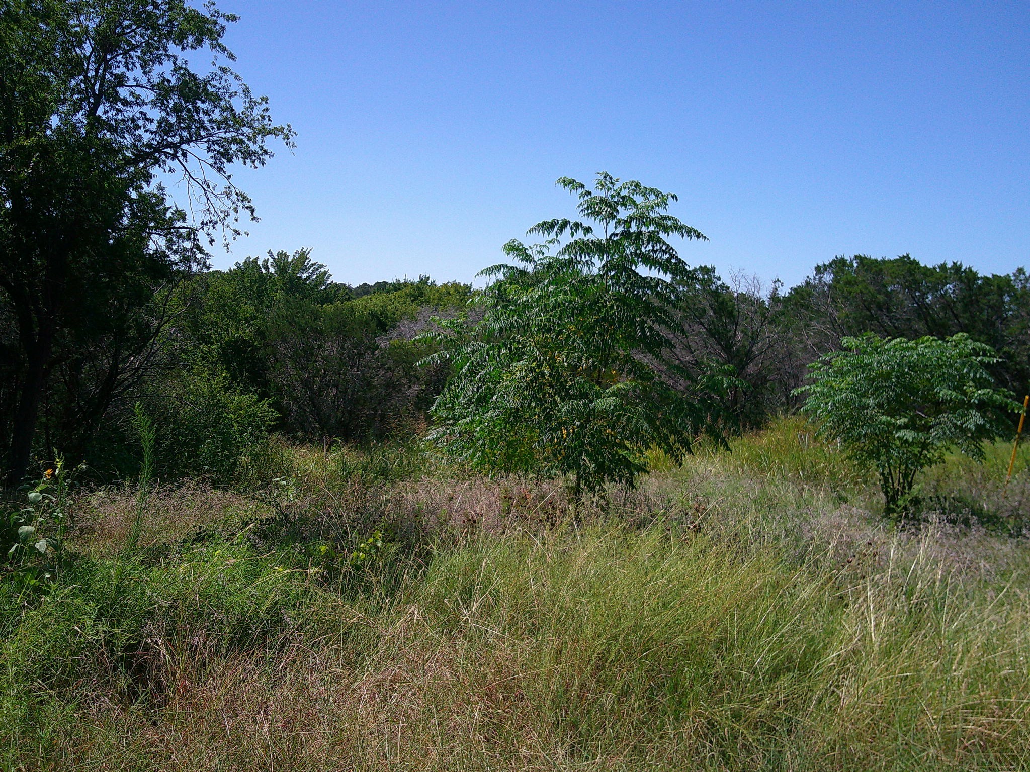 826 Tepee Trail Granbury TX 76048