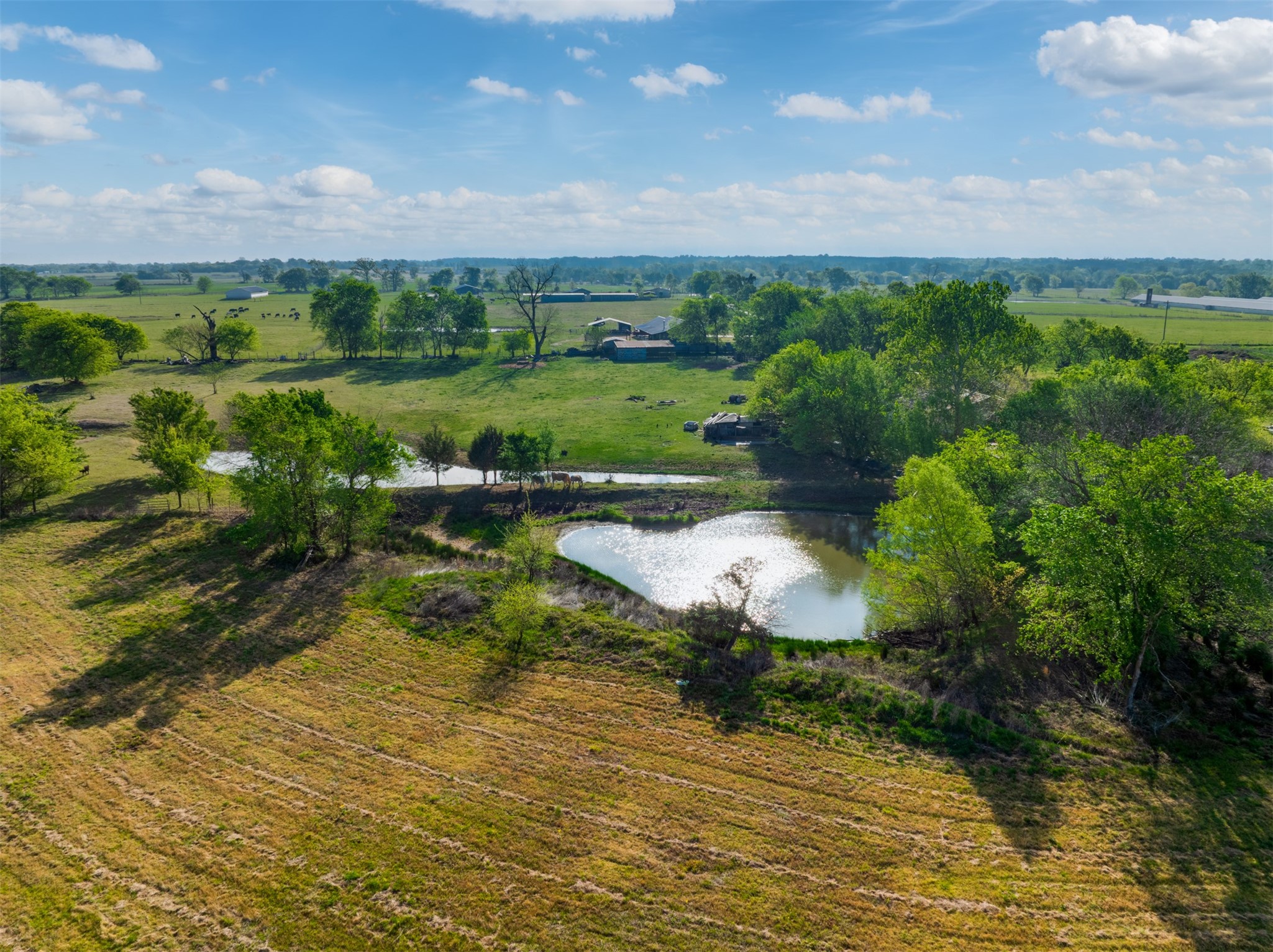 1020 County Road 3070 Mount Vernon TX 75457