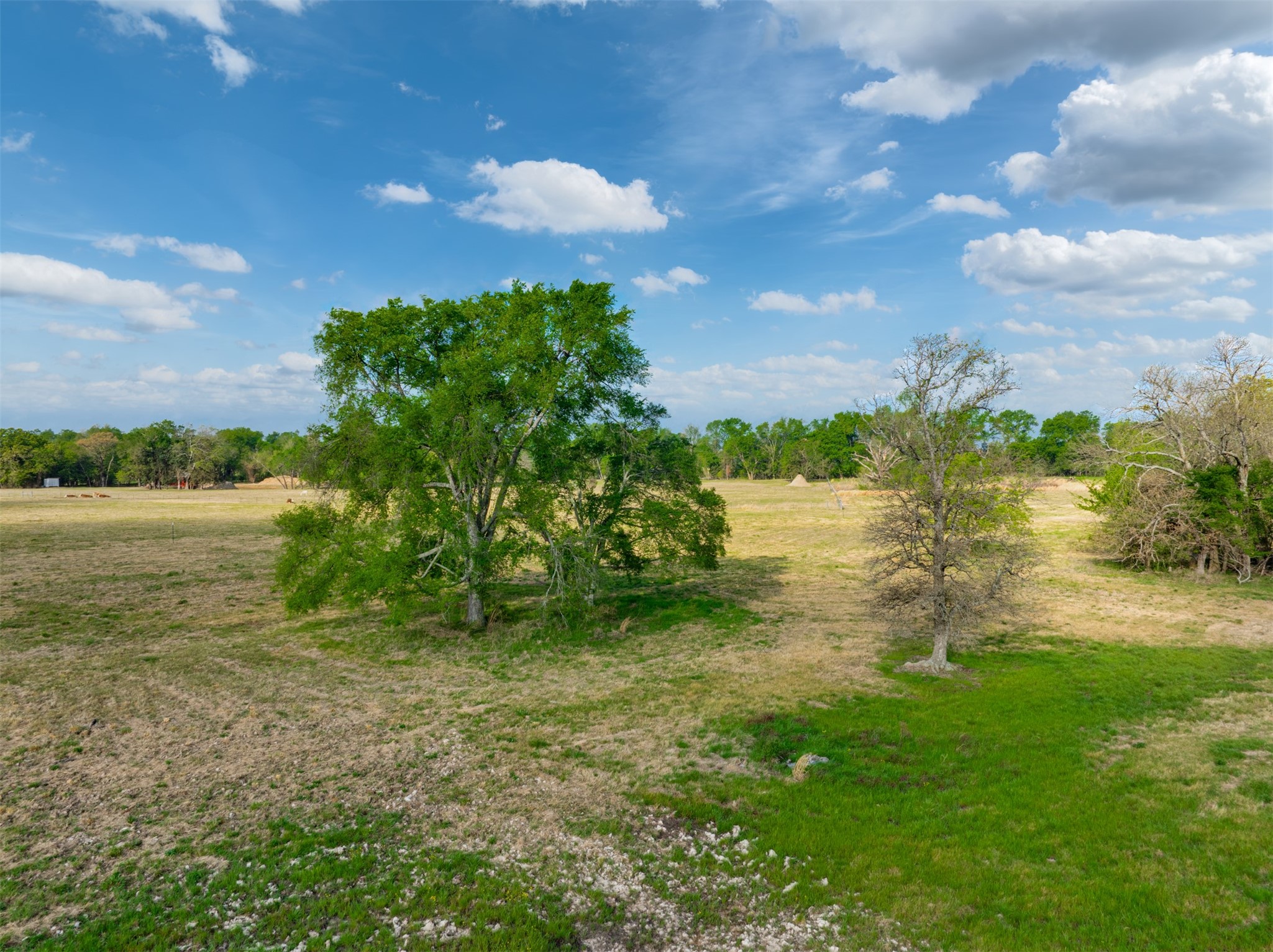 1020 County Road 3070 Mount Vernon TX 75457