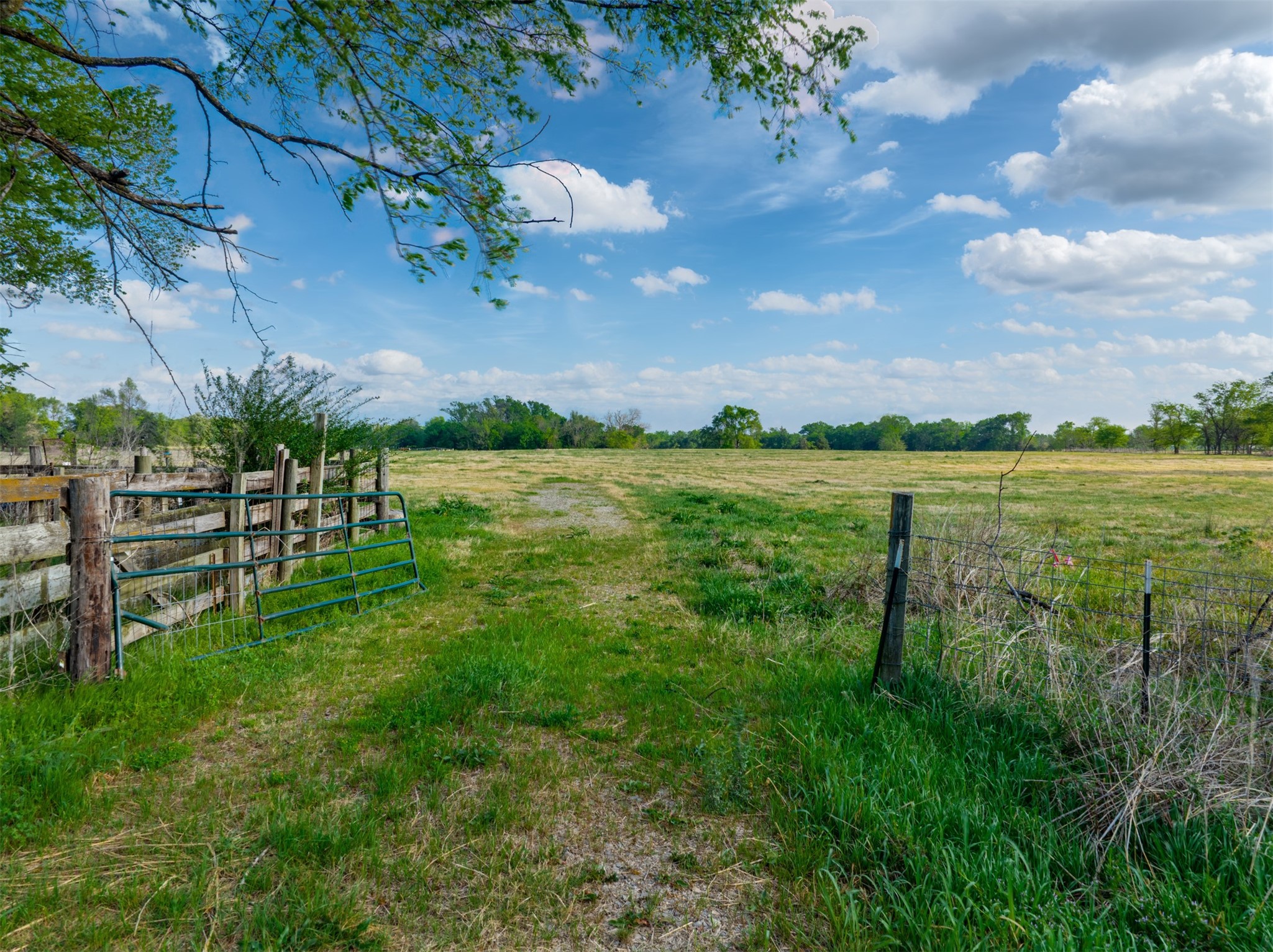 1020 County Road 3070 Mount Vernon TX 75457