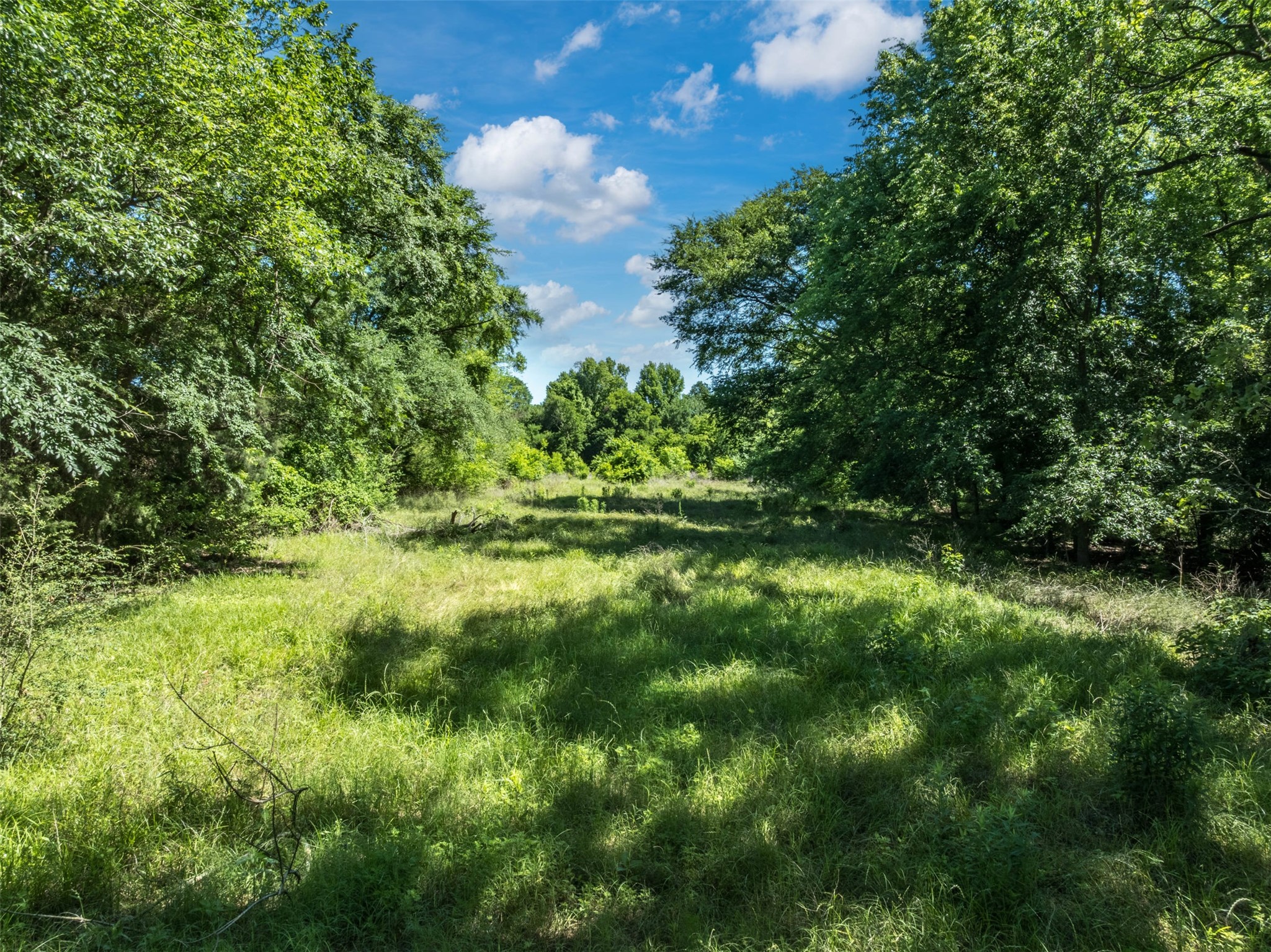 1020 County Road 3070 Mount Vernon TX 75457