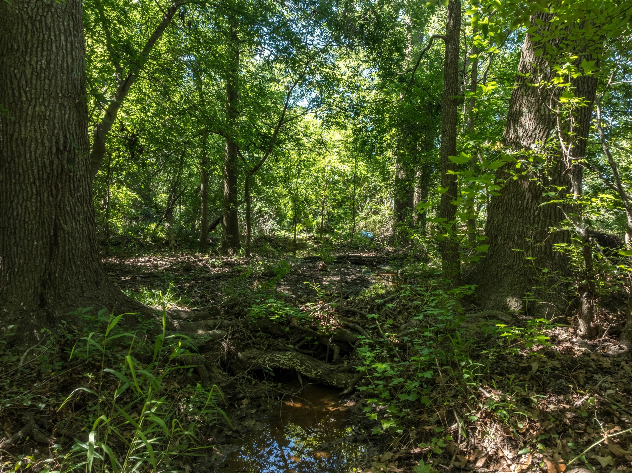 1020 County Road 3070 Mount Vernon TX 75457