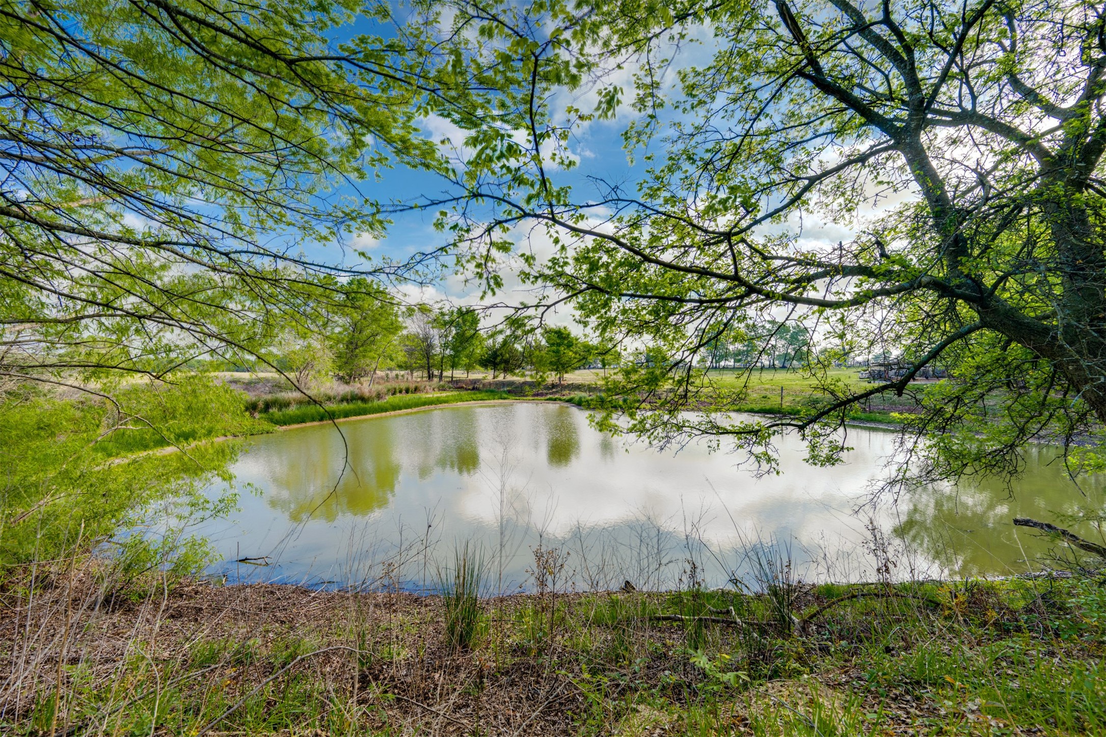 1020 County Road 3070 Mount Vernon TX 75457