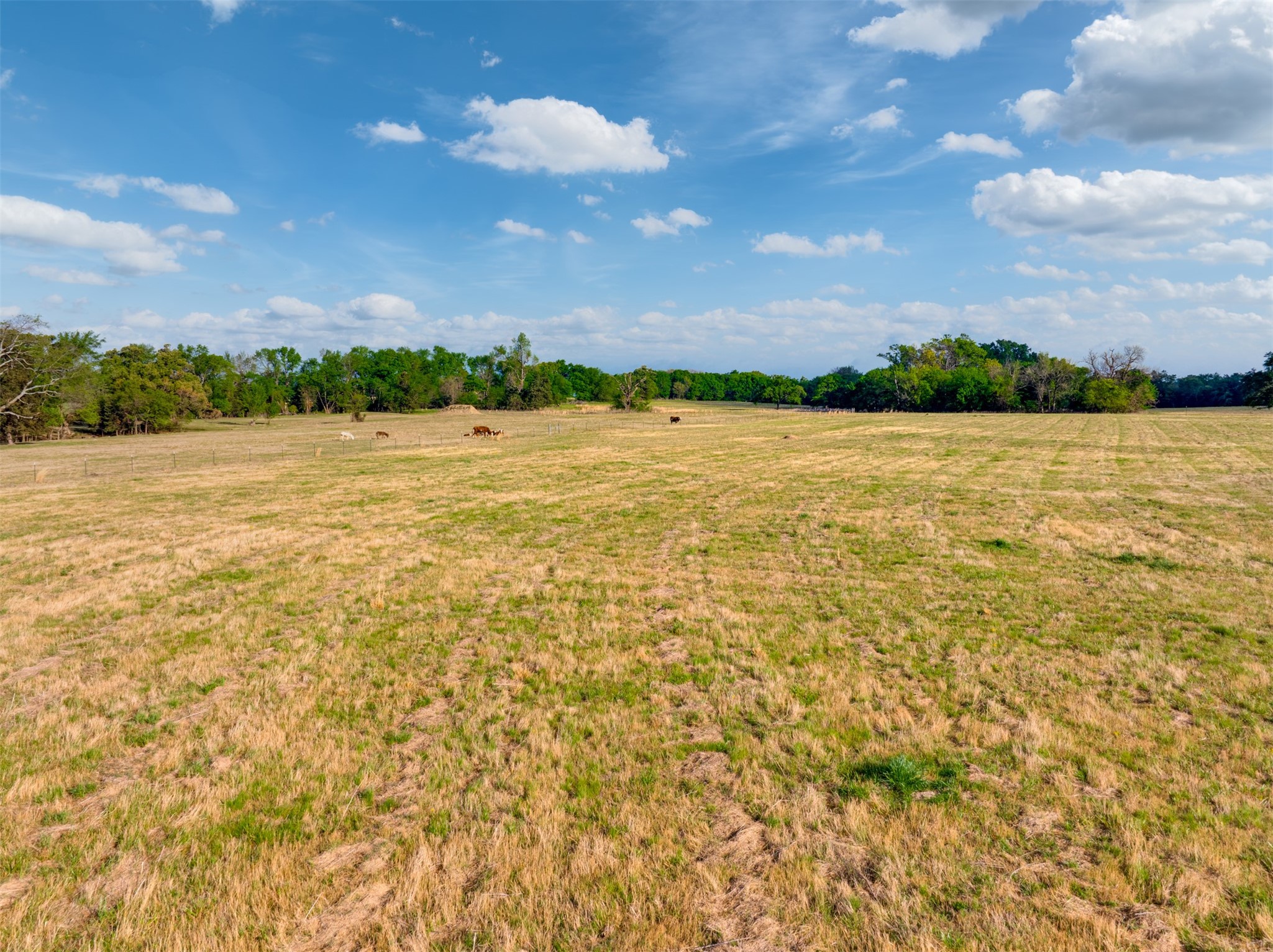 1020 County Road 3070 Mount Vernon TX 75457