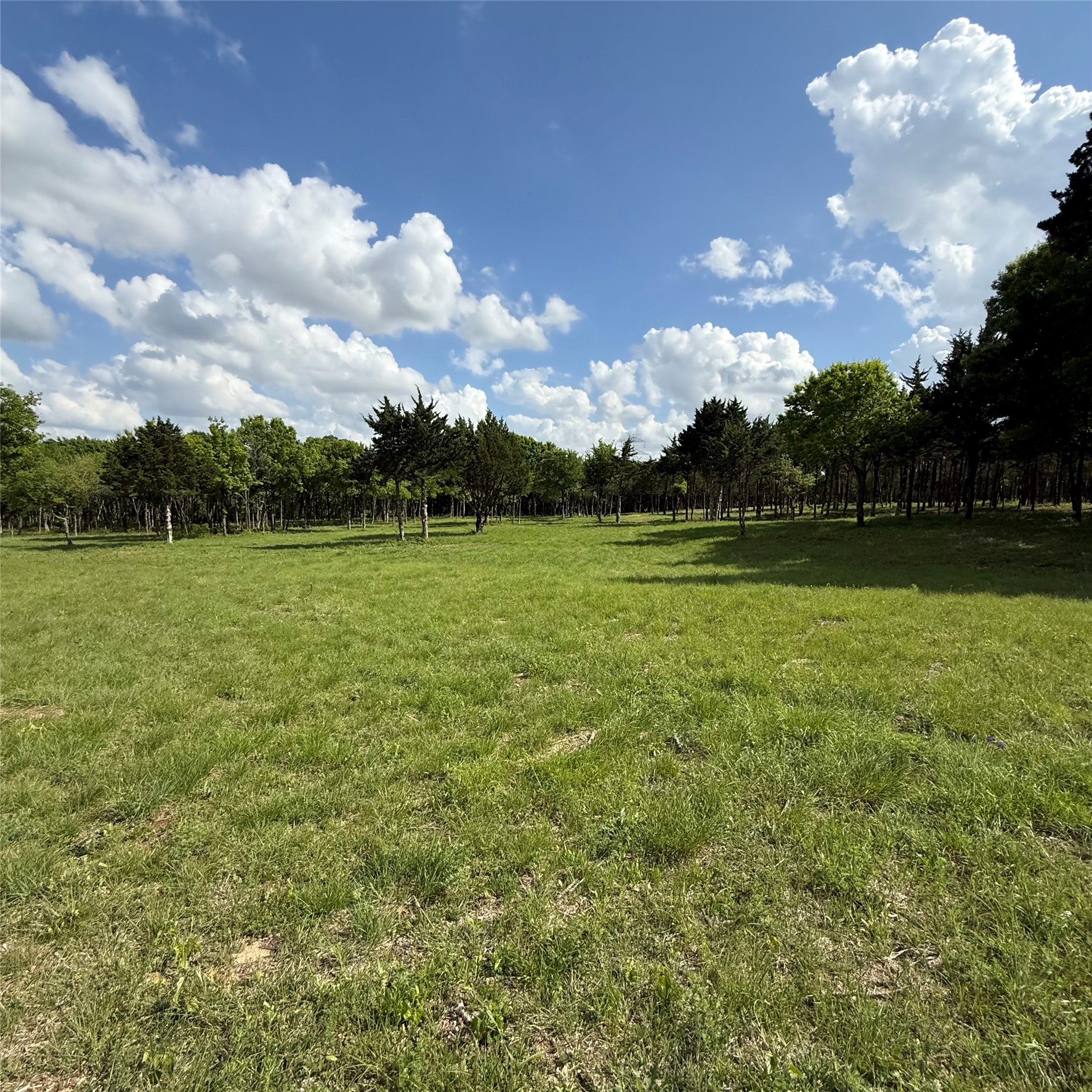 721 Rayburn Drive Desoto TX 75115