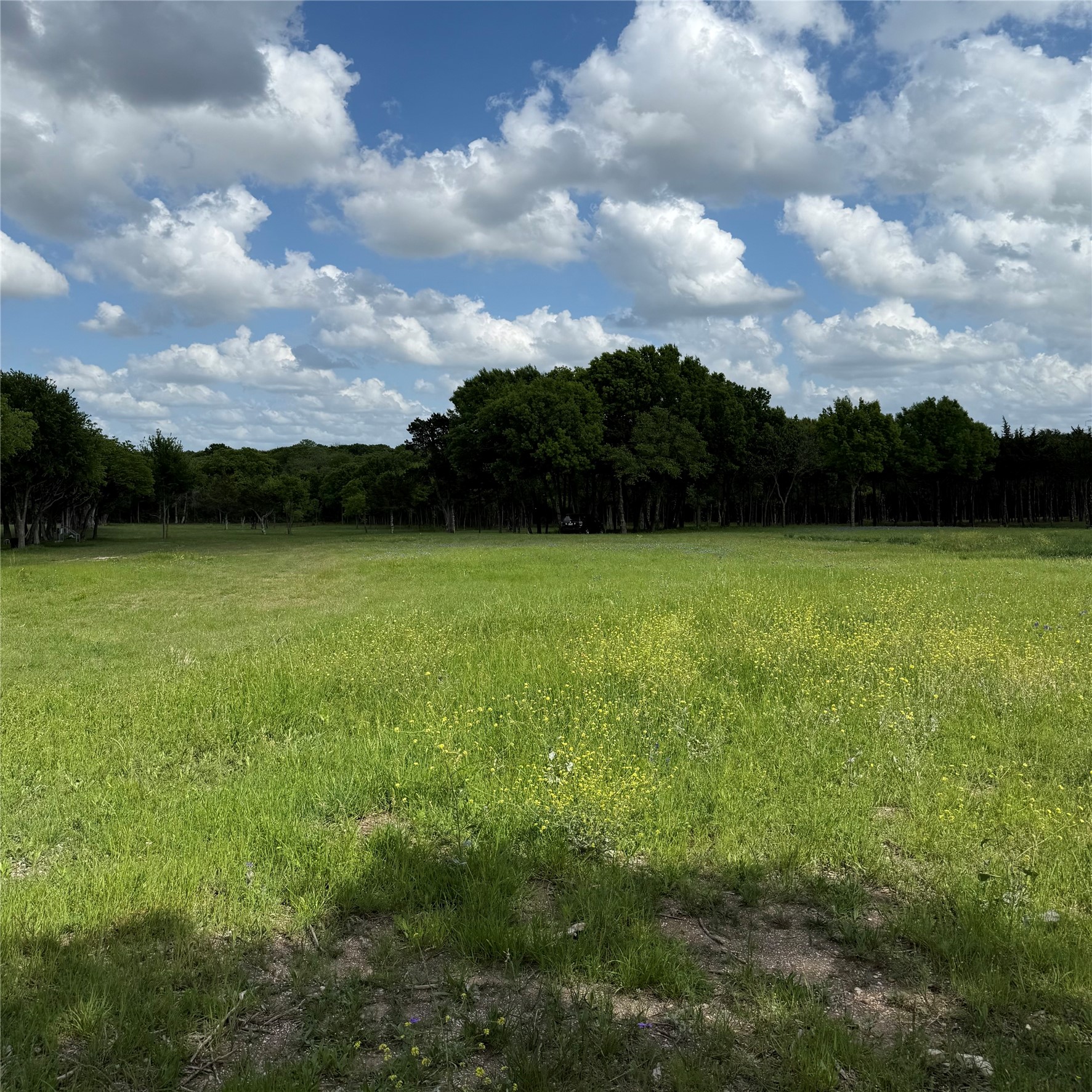 721 Rayburn Drive Desoto TX 75115