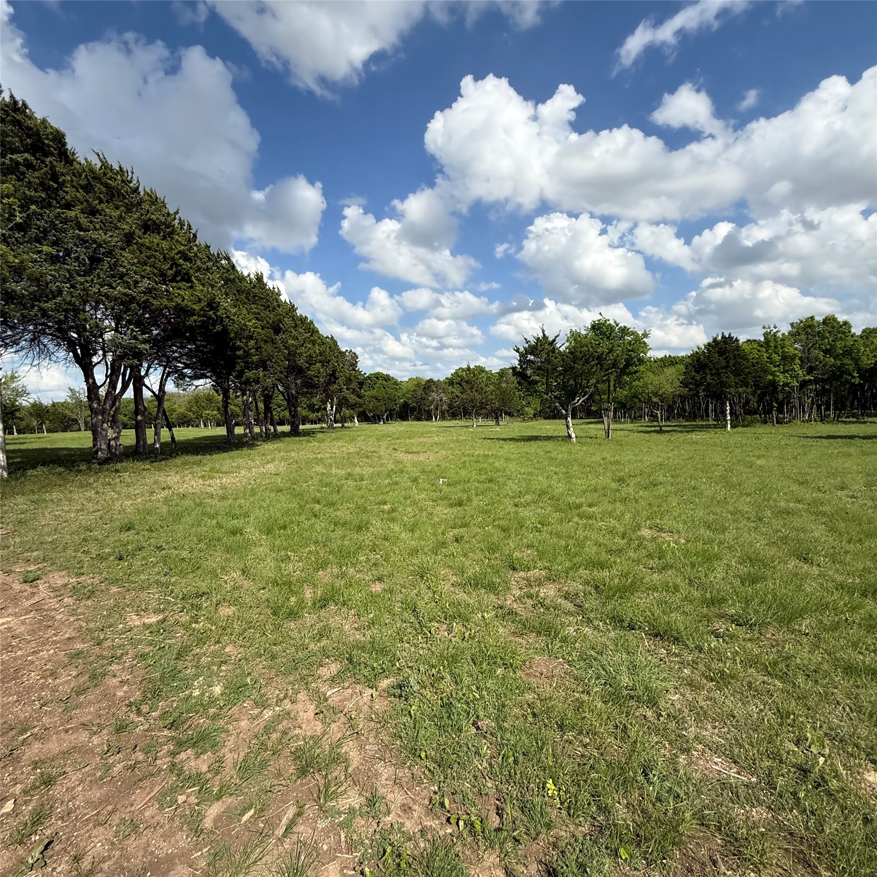 721 Rayburn Drive Desoto TX 75115