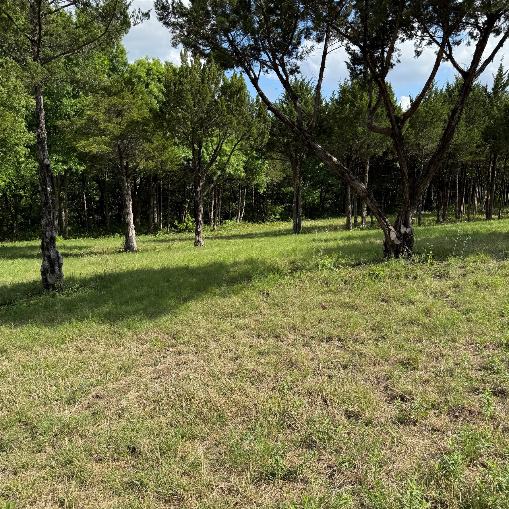 721 Rayburn Drive Desoto TX 75115