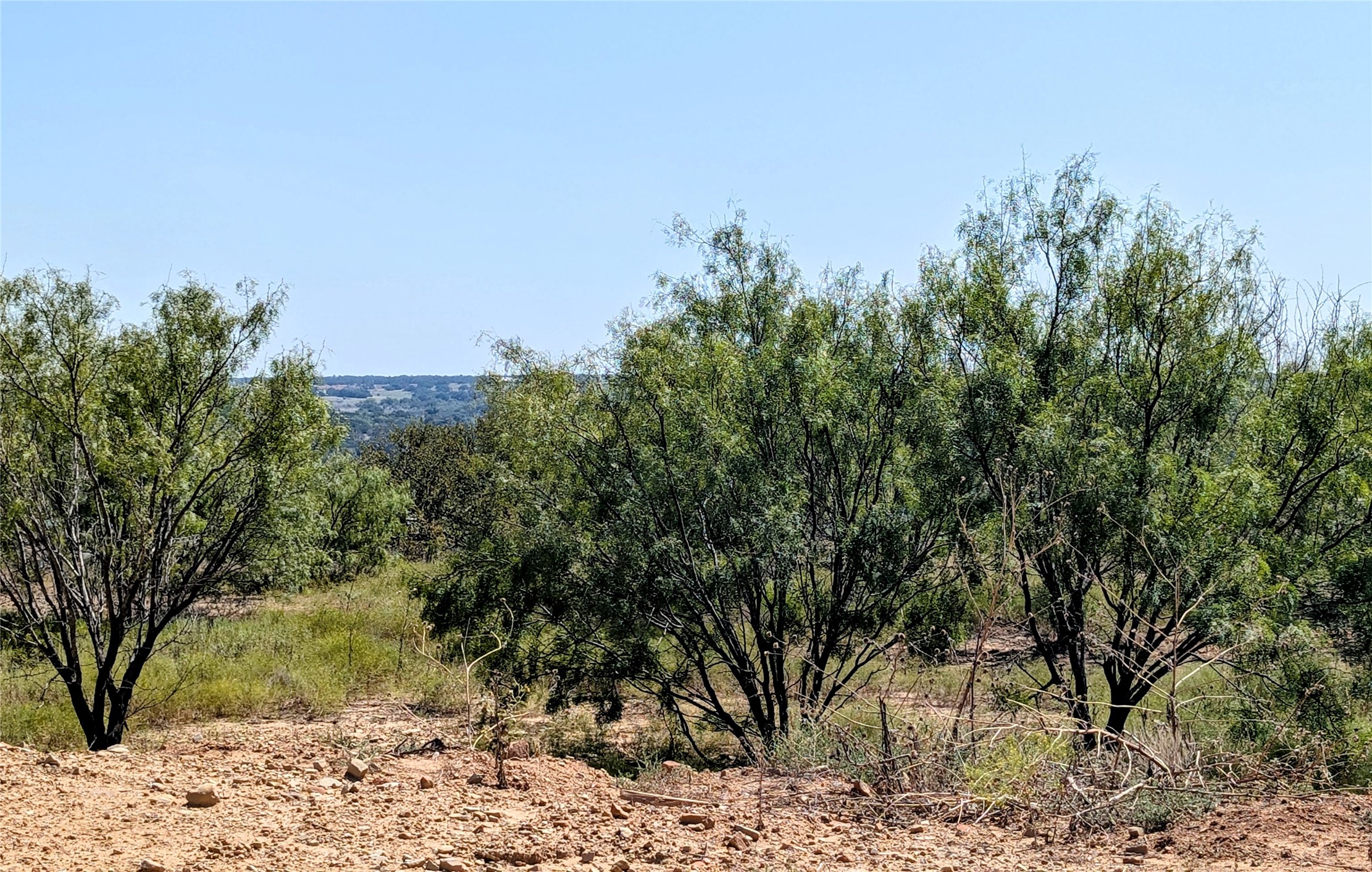 467 Weatherby Way Santo TX 76472