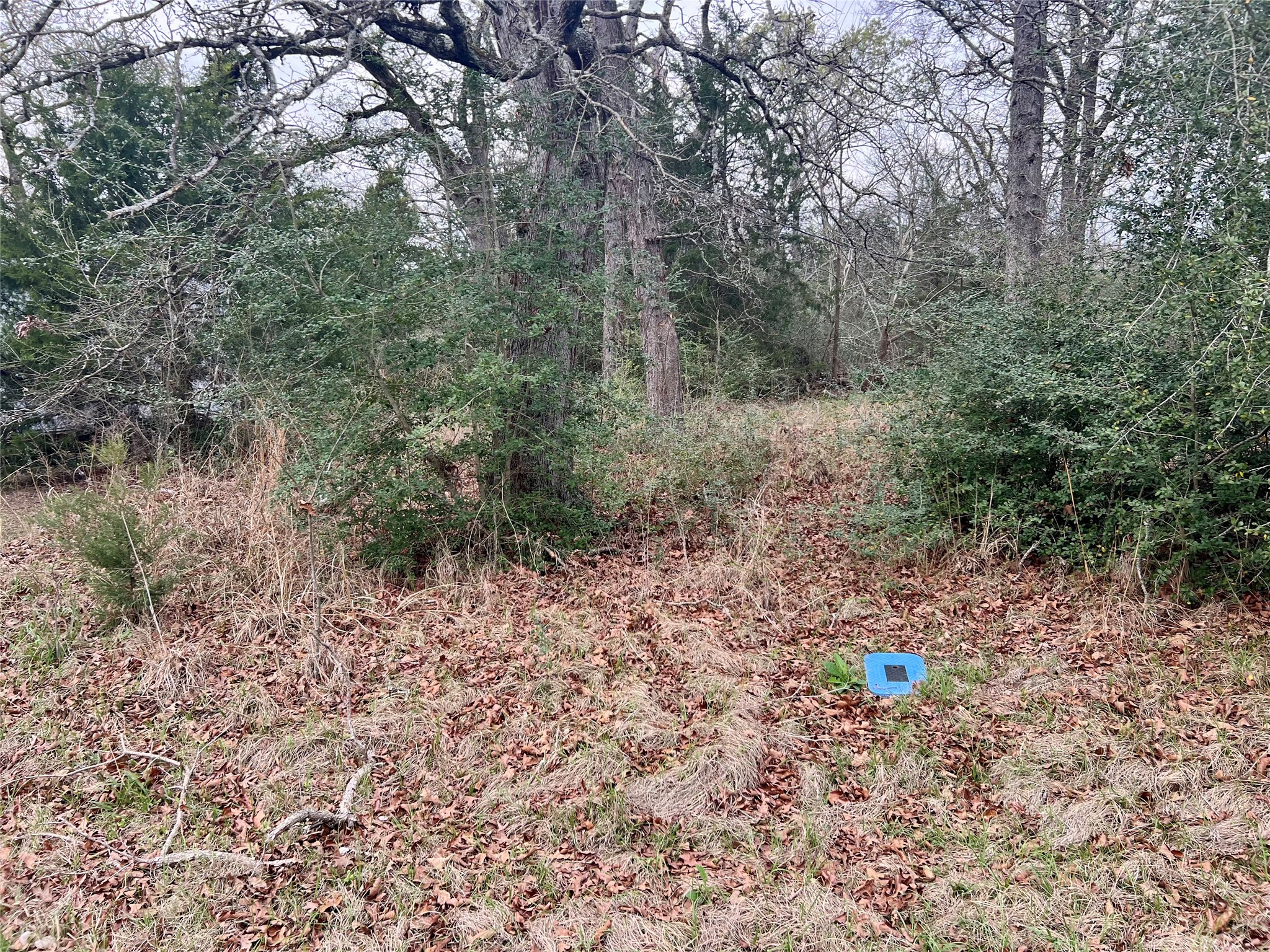 559 An County Road 2223 Tennessee Colony TX 75861