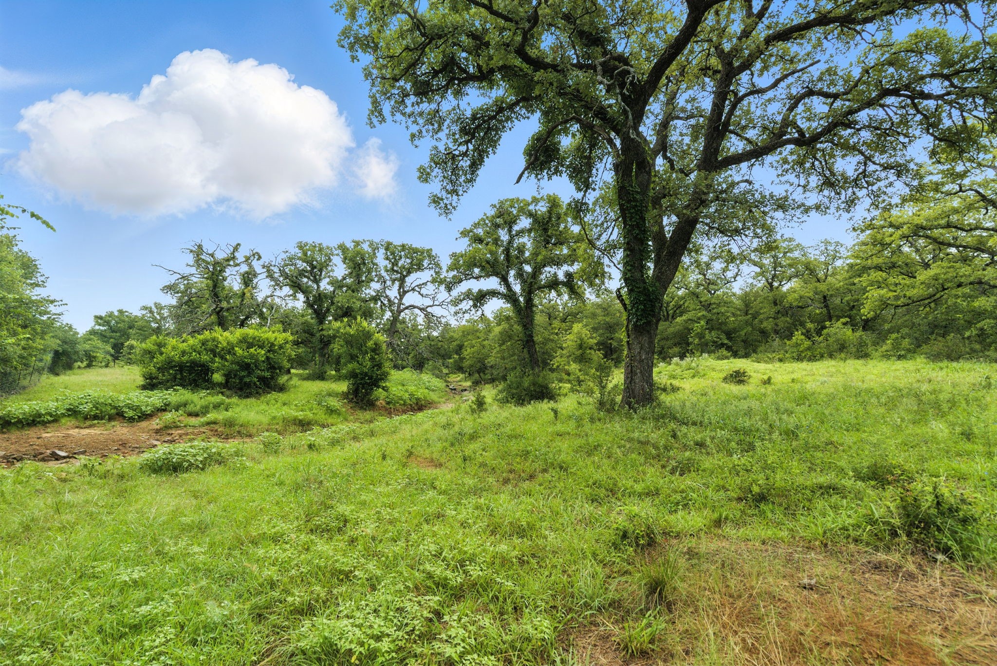 Tbd Us 380 Highway Jacksboro TX 76458