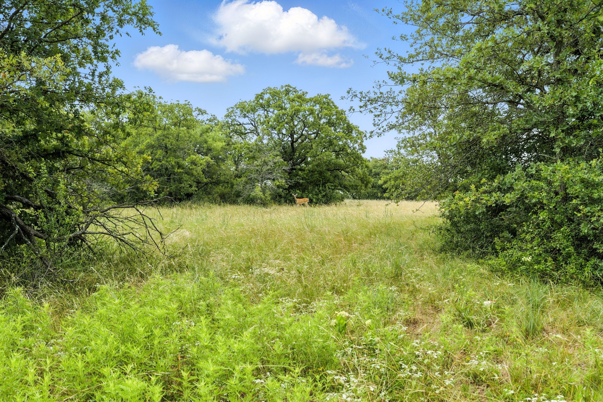 Tbd Us 380 Highway Jacksboro TX 76458