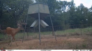 Tbd Us 380 Highway Jacksboro TX 76458