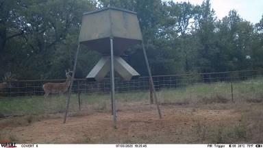 Tbd Us 380 Highway Jacksboro TX 76458