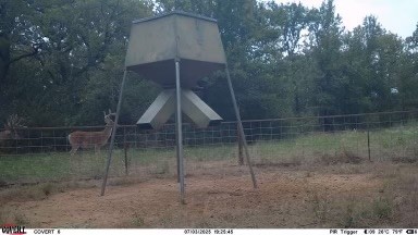 Tbd Us 380 Highway Jacksboro TX 76458