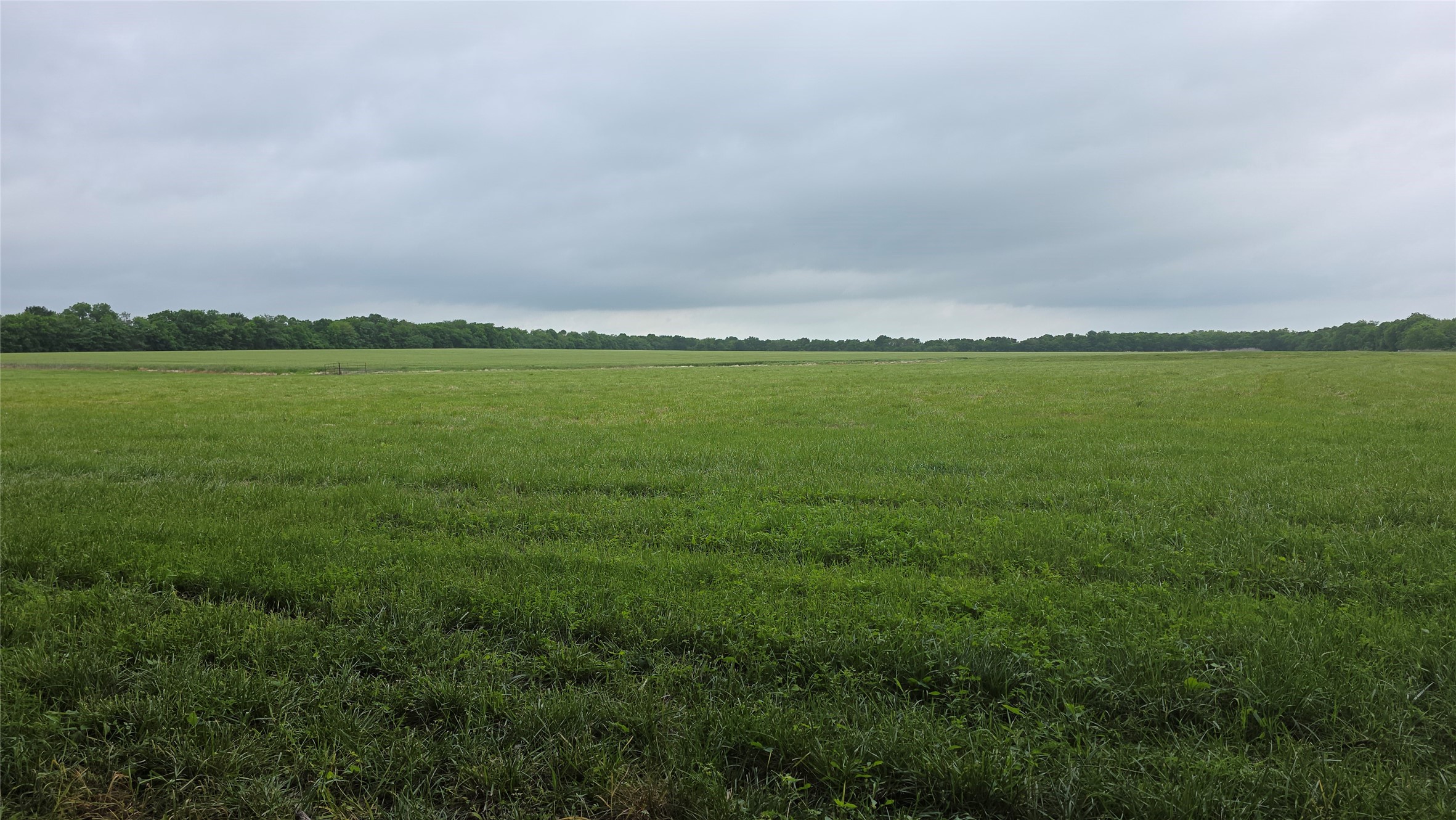 0000 Fm 272 Celeste TX 75452
