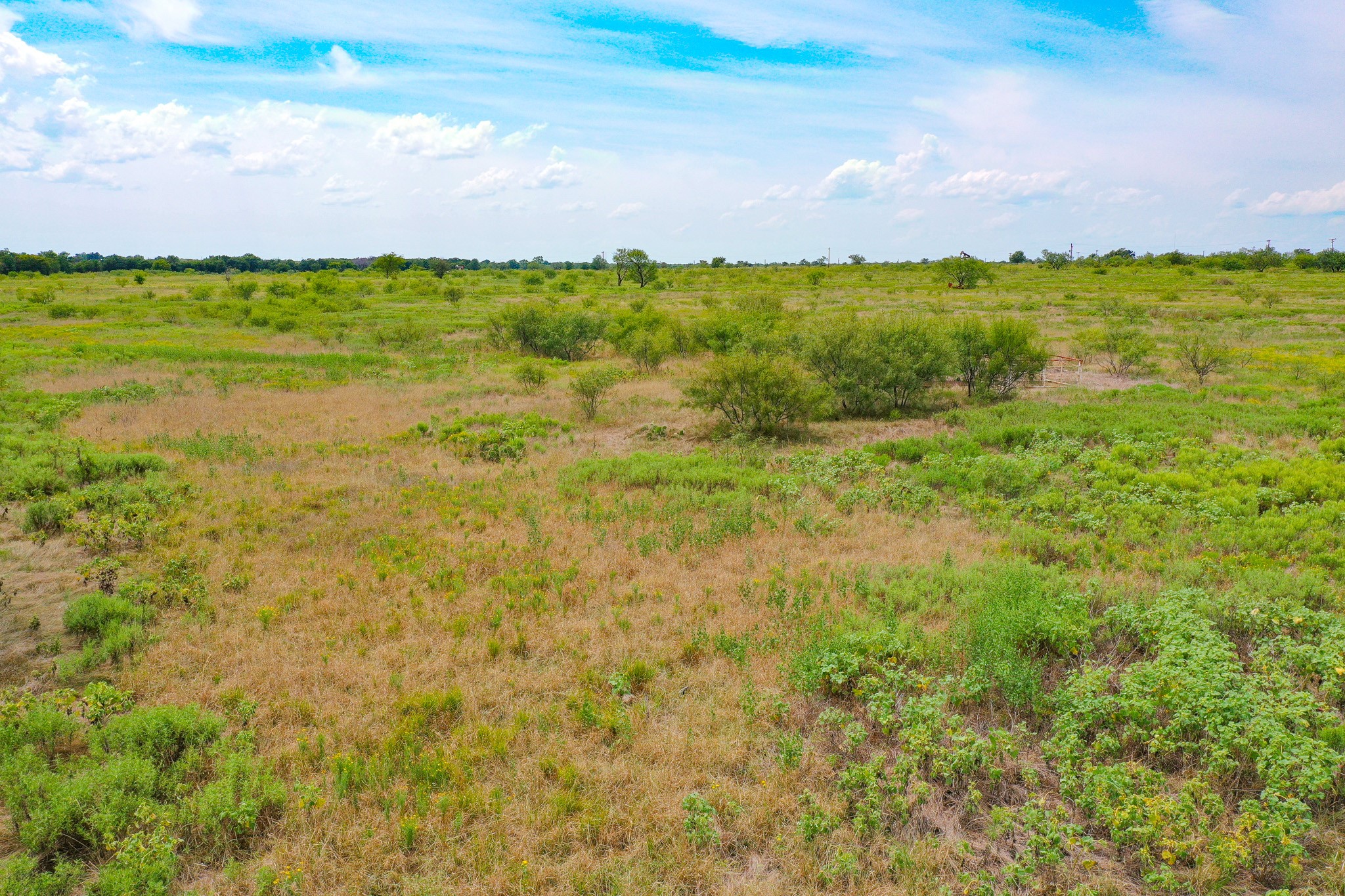 12.34 Acres 199 Highway Jacksboro TX 76458