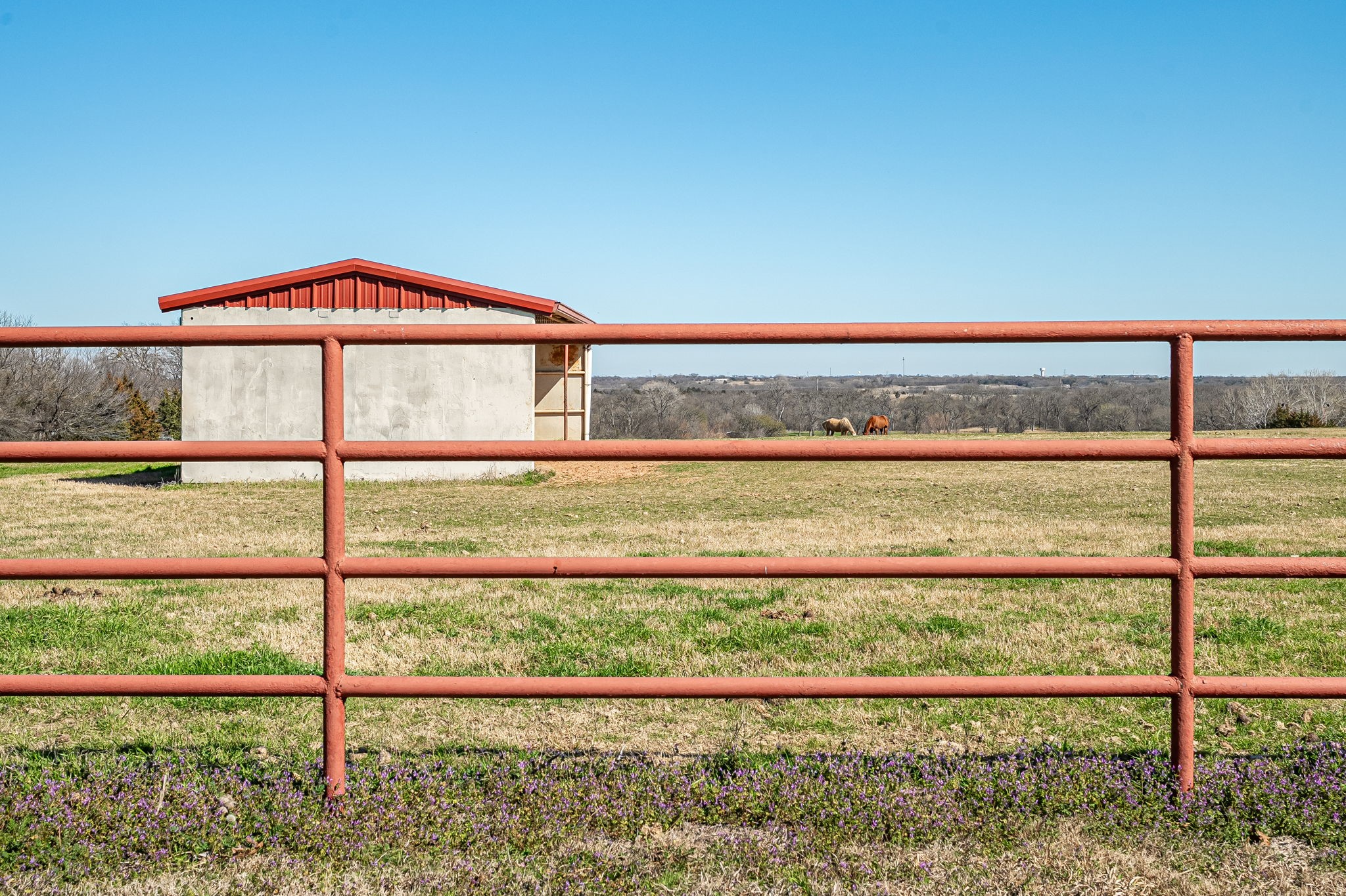 1130 Eden Ridge Celina TX 75009