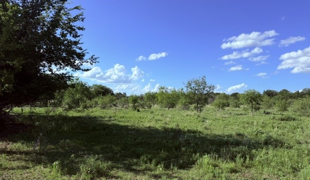 5921 Fm 636 Kerens TX 75144