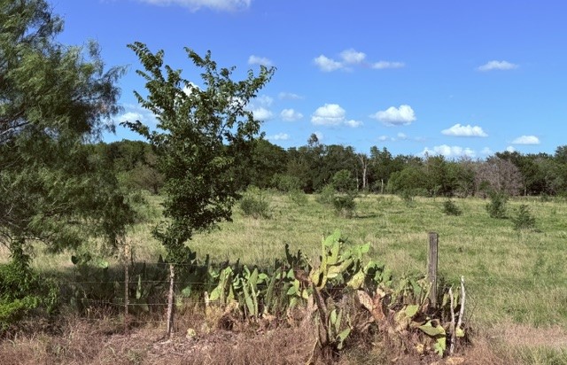 5921 Fm 636 Kerens TX 75144