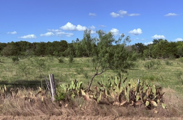 5921 Fm 636 Kerens TX 75144