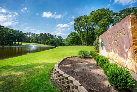 Lots 316 & 317 Brazos Bend Holly Lake Ranch TX 75765