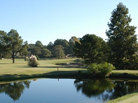 Lots 316 & 317 Brazos Bend Holly Lake Ranch TX 75765
