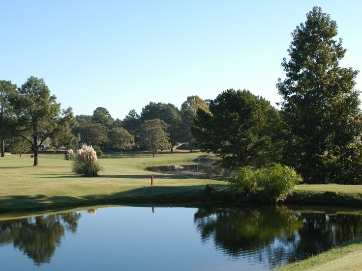 Lots 316 & 317 Brazos Bend Holly Lake Ranch TX 75765