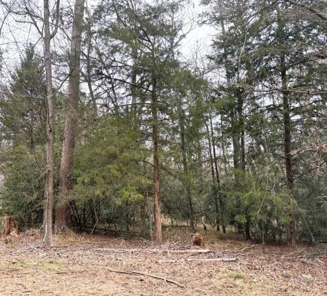 Lots 316 & 317 Brazos Bend Holly Lake Ranch TX 75765