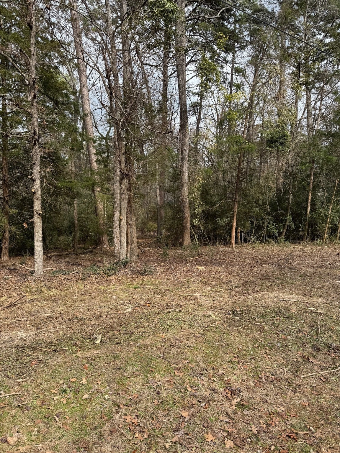 Lots 316 & 317 Brazos Bend Holly Lake Ranch TX 75765