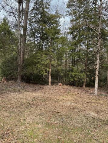 Lots 316 & 317 Brazos Bend Holly Lake Ranch TX 75765