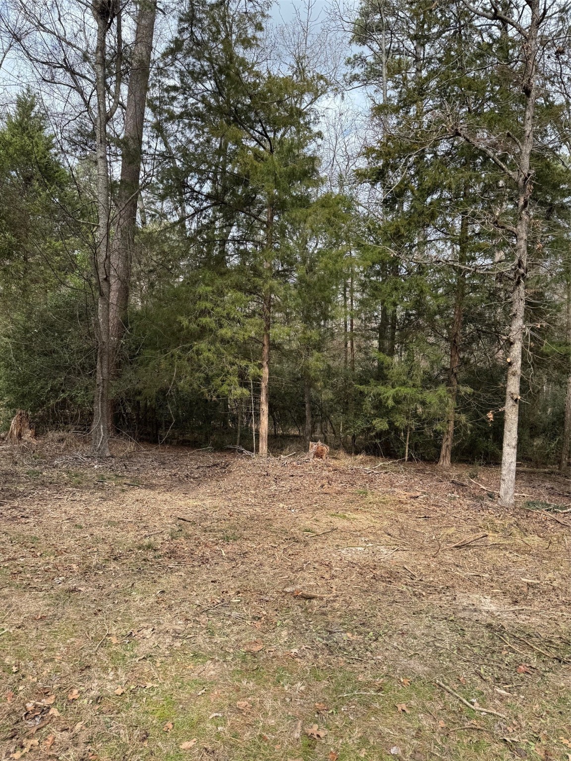 Lots 316 & 317 Brazos Bend Holly Lake Ranch TX 75765