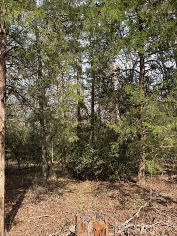Lots 316 & 317 Brazos Bend Holly Lake Ranch TX 75765