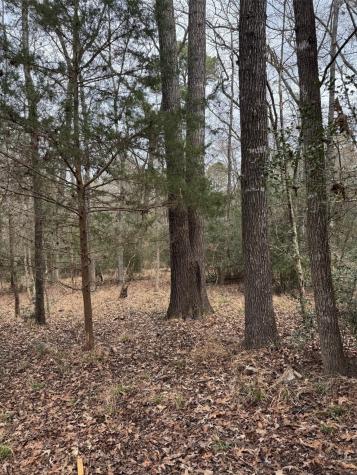 Lots 316 & 317 Brazos Bend Holly Lake Ranch TX 75765