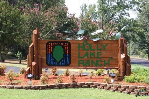 Lots 316 & 317 Brazos Bend Holly Lake Ranch TX 75765