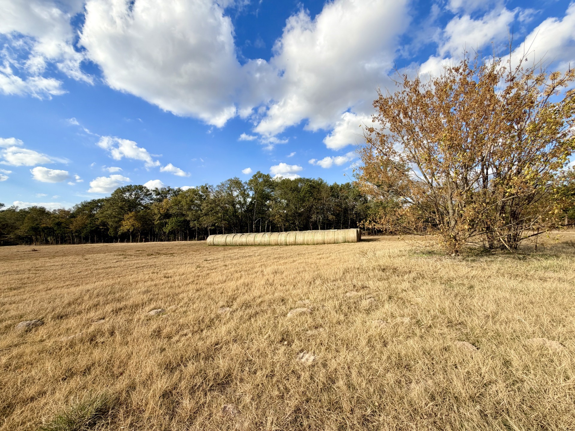 Lot #1 Tbd State Highway 19 & Rs Cr 1150 Emory TX 75440